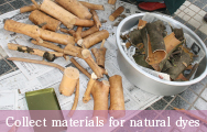 Collect materials for natural dyes