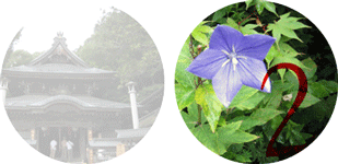 北向観音