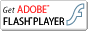 FLASHPlAYER�_�E�����[�h�{�^��