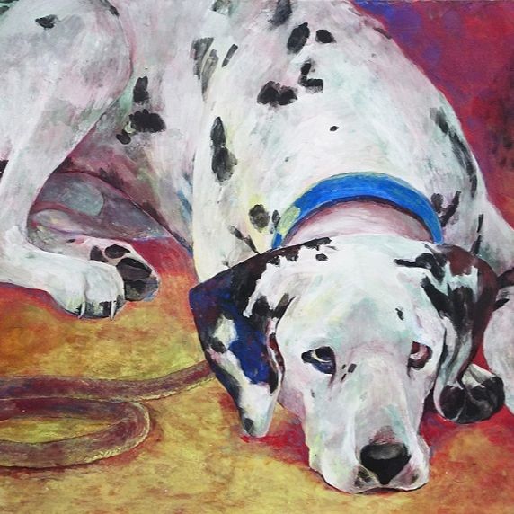 上目遣いダルメシアン