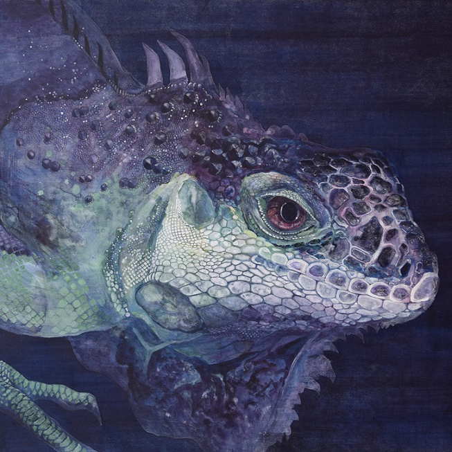 生物017
