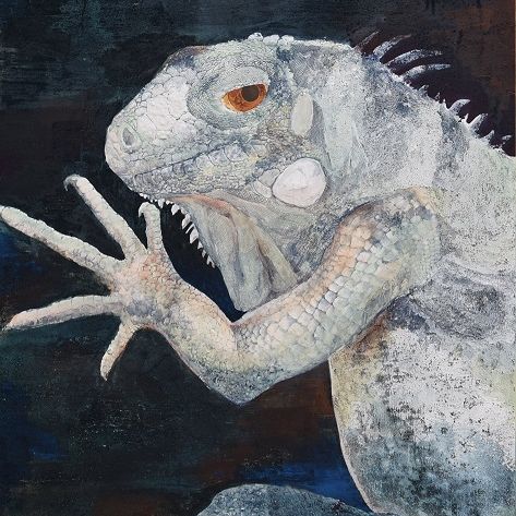 生物020