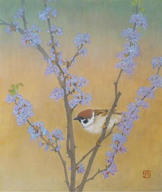 花蘇芳_向井⼤祐