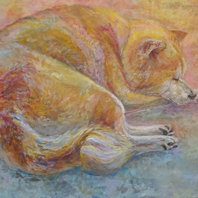 丸まる柴犬
