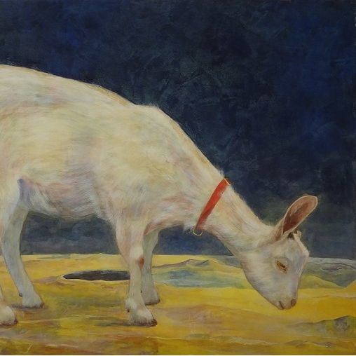 生物026