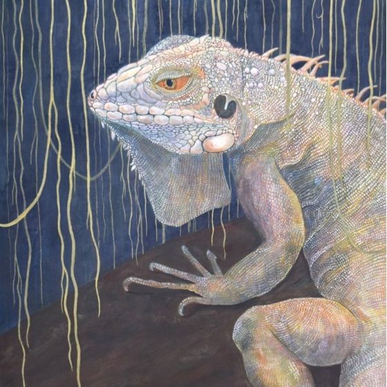 生物026