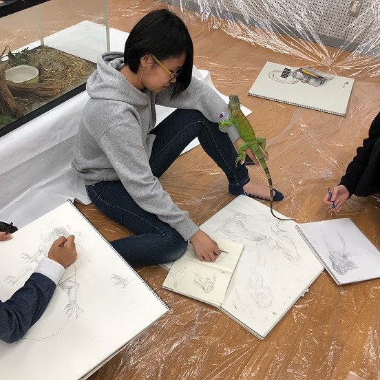 生物制作制作風景手にイグアナ