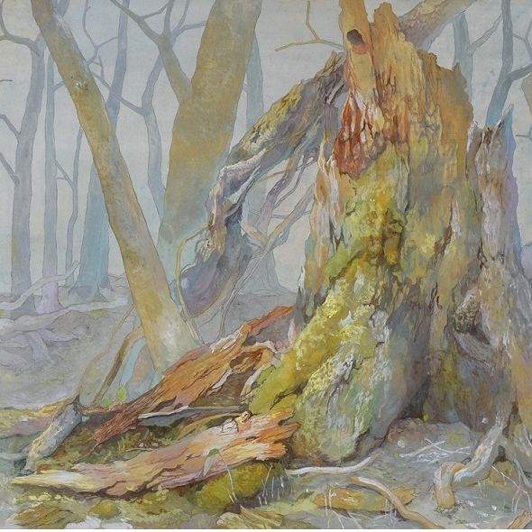 朽ちた大木のある風景横