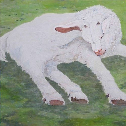 草の上で寝る子ヤギ