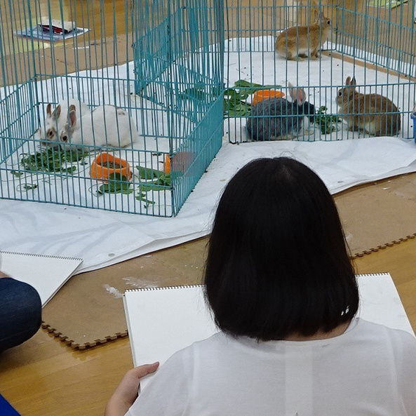 生物制作制作風景ウサギゲージ前